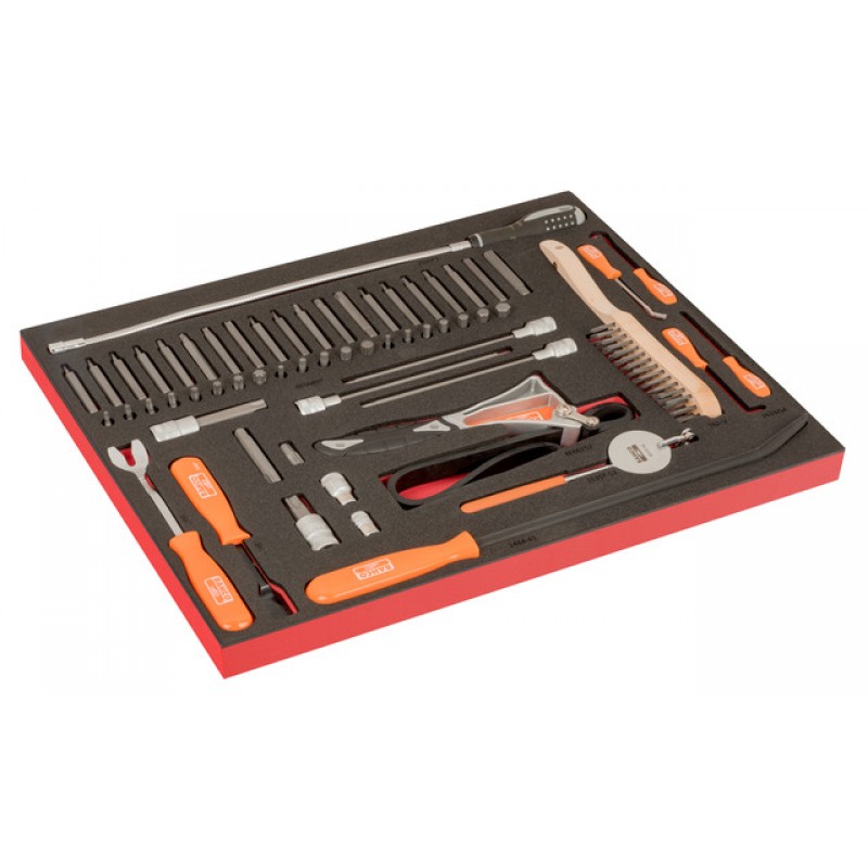 FF1A225LM FitandGo 3/3 αφρώδη ένθετα με χάραξη laser σουβλιά, άγγιστρα, ξύστρα, μαγνητική αρπάγη και μύτες Torx σετ- 60 τεμάχια BAHCO