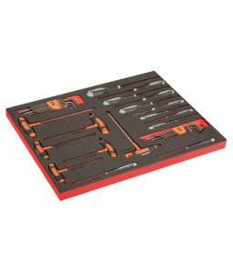 FF1A202LM FitandGo 3/3 αφρώδη ένθετα με χάραξη laser ERGO κατσαβίδια, T-χειρολαβή κατσαβίδια και Γωνιακά κλειδιά - 39 τεμάχια BAHCO