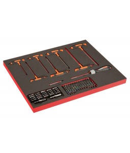 FF1A203LM FitandGo 3/3 αφρώδη ένθετα με χάραξη laser καστάνιας κατσαβίδια, T-χειρολαβή κατσαβίδια και σετ μύτες - 114 τεμάχια BAHCO