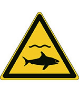 W054 - Προσοχή καρχαρίες